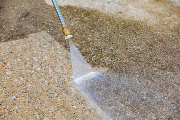 Best Pre-Holiday Cleaning  in Pembroke, GA